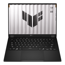 Asus TUF Gaming A14 FA401UU-RG074 (90NR0JD1-M004E0)